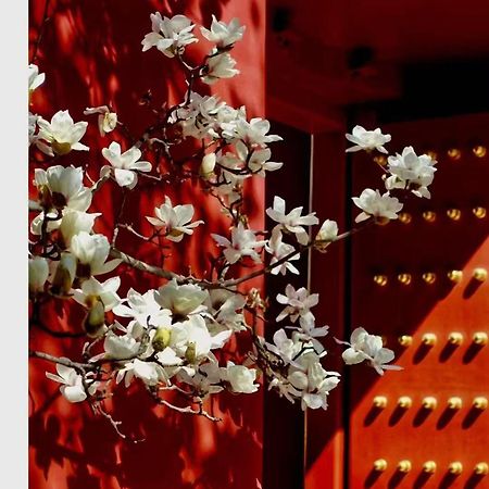 Hotel Cote Cour Deductive Beijing - Quadrangle Close To Tiananmen Square & Forbidden City & Nanluoguxiang, Walk To Wangfujing, English Speaking, Free Wifi, Free Laundry, Free Wonton & Noodles With Tour Ticket Service, Free Selfies With Ancient Costum Екстериор снимка