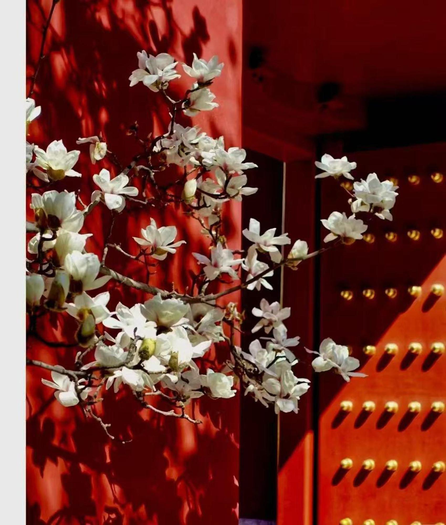 Hotel Cote Cour Deductive Beijing - Quadrangle Close To Tiananmen Square & Forbidden City & Nanluoguxiang, Walk To Wangfujing, English Speaking, Free Wifi, Free Laundry, Free Wonton & Noodles With Tour Ticket Service, Free Selfies With Ancient Costum Екстериор снимка
